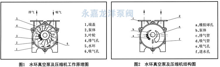 SK系列水環(huán)式真空泵工作原理圖