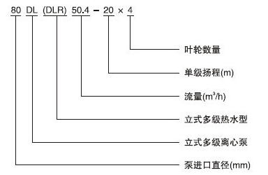 DL,DLR系列立式多級(jí)離心泵型號(hào)意義