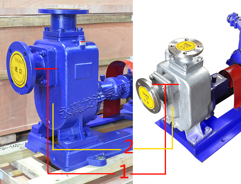 ZW自吸式排污泵和ZX型自吸泵外觀區(qū)別圖